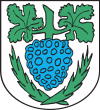 100px-POL_Jastrowie_COA.svg_.png