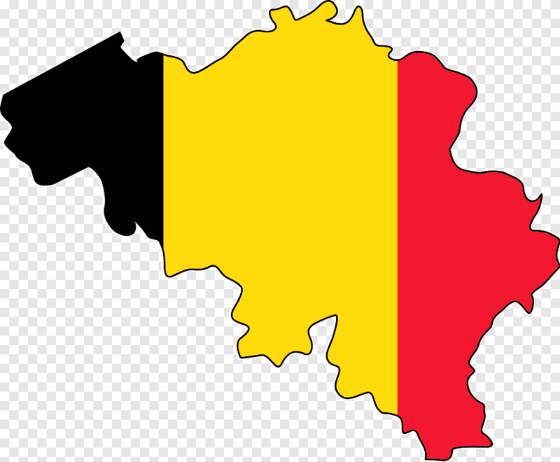 busy polska belgia wielkopolska